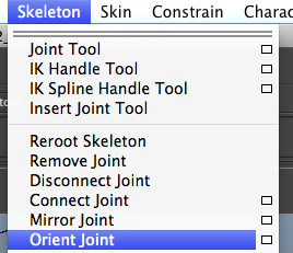 01_skeleton_orientJoint